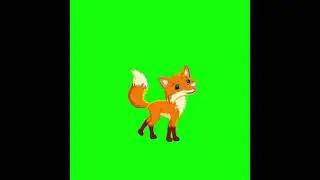 Fox Walking Green Screen Video l HD footage