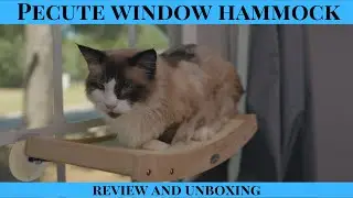 Pecute Sisal Cat Window Hammock Review