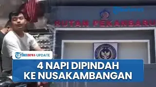 Imbas Video Dugem di Rutan Pekanbaru yang Viral, 4 Napi Kini Dipindah ke Nusakambangan