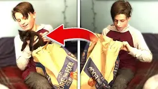 SURPRISING BROTHER WITH KITTEN 🎁🐱 | Kitten surprise reaction - People Get Surprised With Kittens
