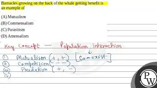 Barnacles growing on the back of the whale getting benefit is an example of....