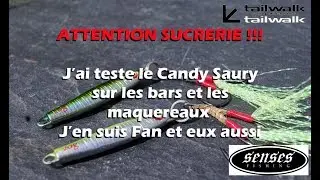 Peche du bar et du maquereau Senses Jig tungstène