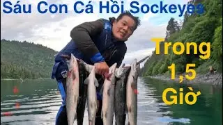 Snagging Fishing L&agrave; G&igrave;? C&aacute;ch Thức Độc Đ&aacute;o Tại Homer, Alaska!