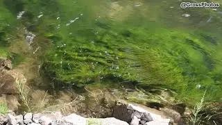 Relaxing Water in Izee