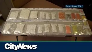 Alberta requests &lsquo;emergency meeting&rsquo; with B.C. after police claim drug bust included safe supply