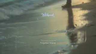 Forgotten shores