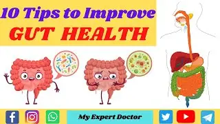 10 Tips to improve GUT HEALTH I Digestion Problems & Solutions I