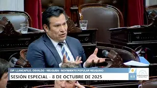 Diputado Llancafilo, Osvaldo - MPN - Sesi&oacute;n 08-10-2025 - PL