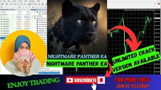 Nightmare Panther EA MT4 | Rule-Based Scalping Logic | No DLL | Smart Scalping Strategy Explained|