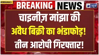 Chinese Manjha Update: Three accused caught red-handed selling Chinese manjha! Watch the full report!