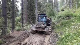 Zrywka drewna w Bieszczadach - logging extreme forwarder Timberjack 230 ( forest machine)