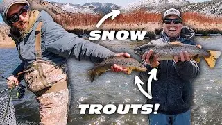 Fly fishing Colorado for GIANT SNOW TROUTS!!! (Breckenridge Outfitters)