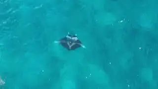 Guam Fun