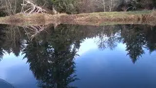 A minute on the Youngs River Oregon