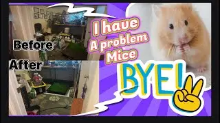 Tiling After a Mouse Disaster 🐭💥 Let&rsquo;s Clean It Up! 🧼🧤