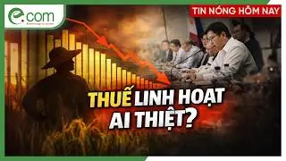 Gạo Ngoại Tr&agrave;n V&agrave;o, N&ocirc;ng D&acirc;n Philippines Sống Trong Bất Định