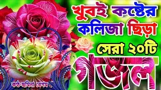 খুবই দুঃখের কলিজা ছিড়া কষ্টের সেরা মায়াবী কন্ঠে মন জুড়ানো ২০টি গজল।কেমন করে থাকবো একা কবরের 