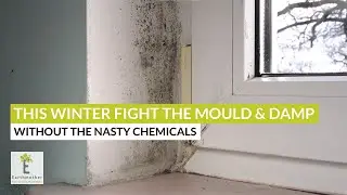 How to easily stop damp, moisture and mould the eco way.