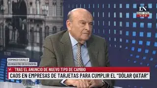 Domingo Cavallo: 