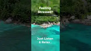 60 Seconds of Tropical Peace &ndash; Ocean Breeze & Jungle Birds #Shorts  #beach #peacefulwaves #relax