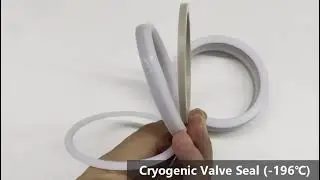 JST's LNG Cryogenic Valve Seals