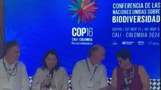 RED BIOAMAZONIA en la COP16