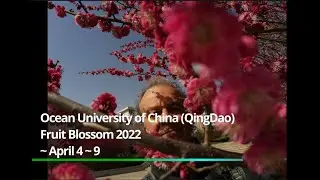 2022 Fruit Blossom Ocean University of China, QingDao - LaoShan campus