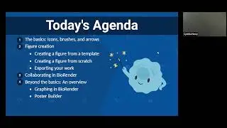 BioRender Basics