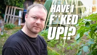 An Idiot Fumbling His Way Into Gardening...