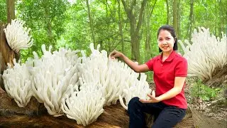 Harvesting 1000+ White Coral Mushrooms Growing On Straw Goes To Market Sell | Daily Garden