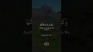 Indeed, in the remembrance of Allah do hearts find rest.