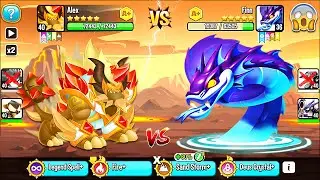 Dragon City: High Terra Dragon vs. the STRONGEST New Heroics 2025! 😱