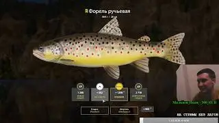 РЫБАЛКА///ОБЩЕНИЕ///МЕДВЕДИ///ОБУЧЕНИЕ /// #РР4 #RF4