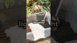 The Best Homemade Soil Mix for Indoor Plants Tested and Proven!