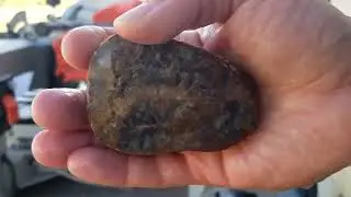 15. Jasper Agate 2 or brecciated Jasper and other quick cuts