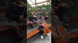 Last last by Burna boy - Magnetic String Collective #allblack #violin #stringquartet  #afrobeat