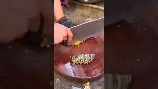 Amazing Super Tasty & Expensive Big Fish Cutting  #fishcuttingskill #fishcut #fishcutting