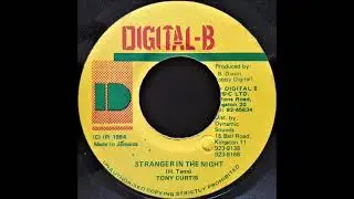 Tony Curtis - Stranger In The Night (1994) Get A Lick Riddim