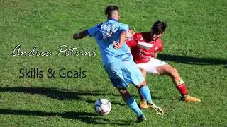 Andrea Petrini skills & goals