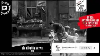Bursa Sinematek, Film Festivali-1: BURSA HAYVAN HAKLARI FİLM FESTİVALİ.1 Aralık