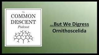 ...But We Digress - Ornithoscelida