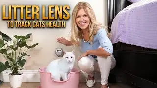 Обзор камеры SiiPet LitterLens для кошачьего лотка | Отслеживание здоровья кошки