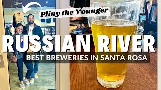 Pliny the Younger: Worth the 12 Hour Wait? //Santa Rosa's BEST wineries
