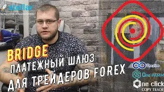 BRIDGE инновационные инвестиции в Форекс