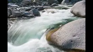 Torrente Cervo