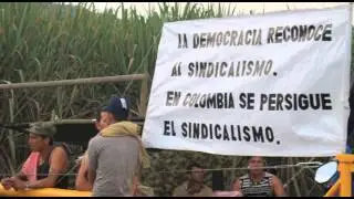 Realidades de los corteros de ca&ntilde;a