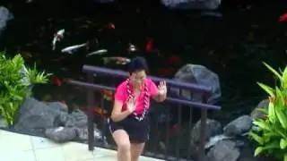 Yang Style Tai Chi In Hawaii