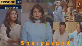 Sharpasand Episode 37 Promo | Sharpasand Episode 37 Teaser | Hareem Farooq and Numan Ijaz 