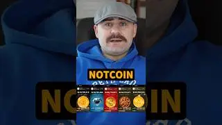 Скины от НОТКОИН Станут НФТ #notcoin