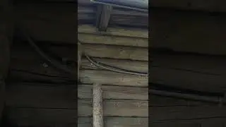 это природа 2